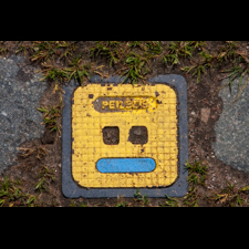 happy sewer plate