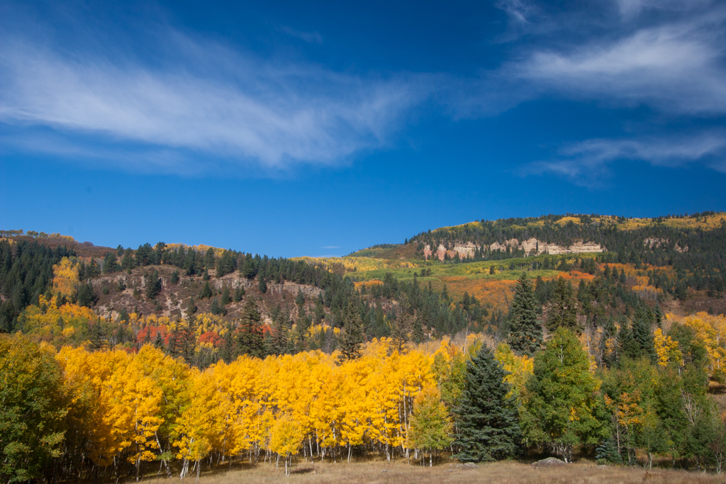 Fall color landscape