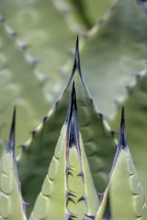 Points